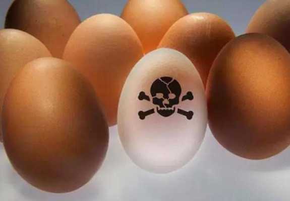 毒鸡蛋为什么要杀蛋鸡（毒鸡蛋什么样子）