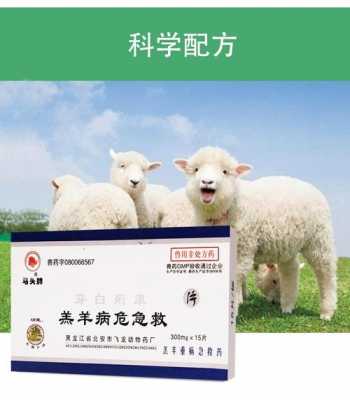 羊吃羊毛用什么药（羊吃羊毛最快的治疗）-图2