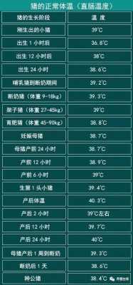 猪什么体温正常（正常情况下猪的体温是多少）-图1