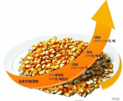 山东省玉米什么时候涨价（山东玉米价格还会涨吗）-图1