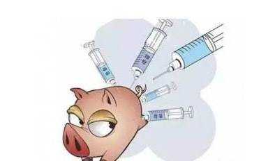 猪喘气疫苗是什么（猪喘气病疫苗主要通过什么途径免疫）-图2