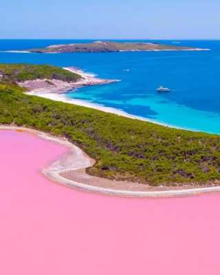 新西兰粉盐是什么样的（新西兰粉色沙滩在哪里）-图1