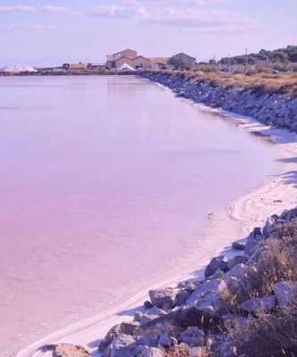 新西兰粉盐是什么样的（新西兰粉色沙滩在哪里）-图3